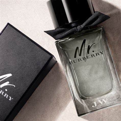 burberry mr burberry eau de toilette|perfume mr Burberry original.